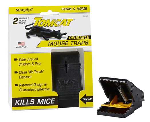 clean mouse trap