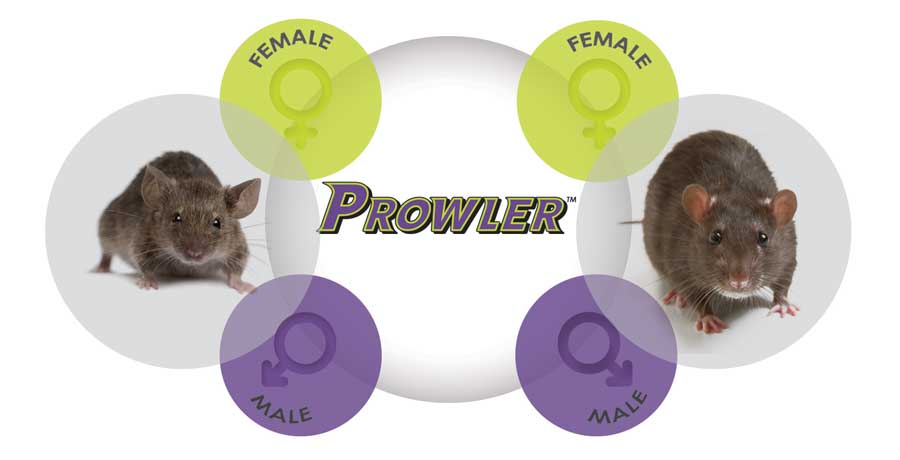 Prowler Mouse Killer 16oz
