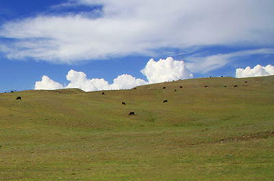 Rolling green hills with a blue sky and clouds