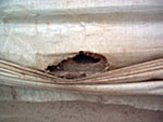 Mouse hole in a curtain