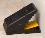 A mouse trap on the floor