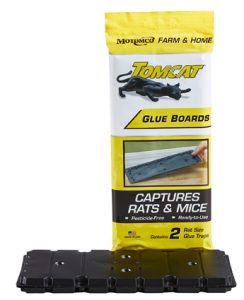 Tomcat Rat Glue Boards 2pk Valu Pak